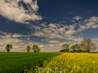 20150507_104426_Raps-Rundfahrt Rot-Biberach 1920.jpg